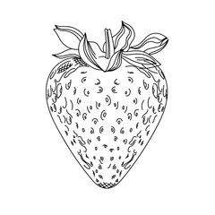 fresh strawberry fruit