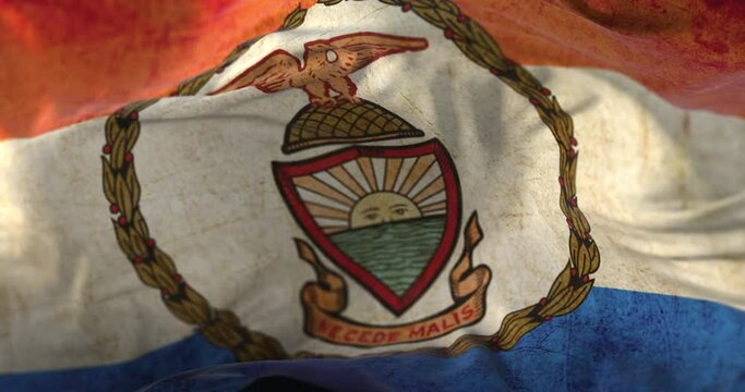 The Bronx old flag, county of the state of New York, in United States - loop
