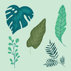 five leafs foliage icons