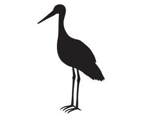 black silhouette,shadow of a standing stork
