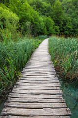 Plitvice, Croatia - Wooden walkway in Plitvice Lakes National Park on a bright summer day with green summer foliage