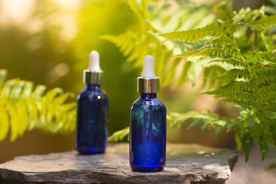 cosmetic products two blue glass bottles with oil on the roots of the tree against the background with fern. eco-friendly natural product