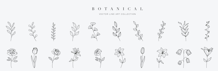 Set botanical hand drawn vector element. Collection of foliage, leaf branch, floral, flowers, roses, lily in line art. Minimal style blossom illustration design for logo, wedding, invitation, decor. - obrazy, fototapety, plakaty