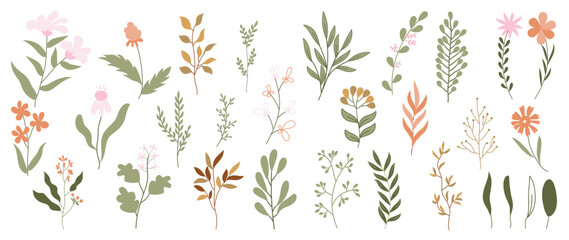 Collection of floral elements in flat color. Set of spring and summer wild flowers, plants, branches, leaves and herb. Hand drawn of blossom vectors for decor, website, graphic and shop.
