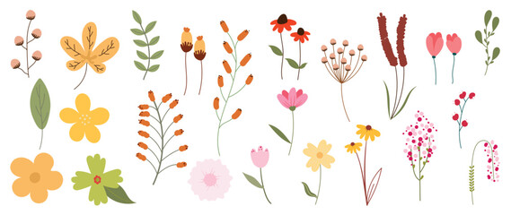 Collection of floral elements in flat color. Set of spring and summer wild flowers, plants, branches, leaves and herb. Hand drawn of blossom vectors for decor, website, graphic and shop.