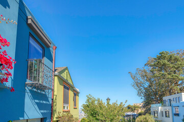 Two rows of houses with trees in the middle in the suburbs of San Francisco, California