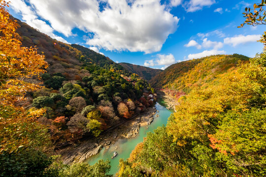【未開封】丸久小山園 「青嵐」＋山政小山園「小倉山・先陣の昔」　4点セット 花のいえ（角倉了以邸址）庭園 ― 小堀遠州作庭…京都市・嵯峨嵐山