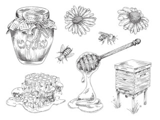 Honey production and apiary items set, engraving vector illustration isolated.