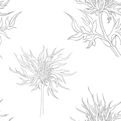 set of flowers. Seamless pattern with hand-painted eryngiums. Print with flowers on a white background. Pattern for textiles, wallpaper, clothes, postcards, posters, accessories.
