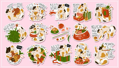 Collection compositions with funny Christmas cat. Humorous phrases. New year stickers with cute adorable kitty. Greeting card for holiday party. Poster, print. Flat style in vector illustration