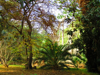 Prince Muhammed Ali Tawfiq Palace on Rawda Island in Cairo, Egypt