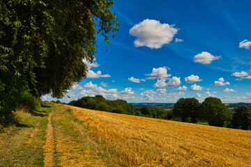Naklejka premium Landschaft in Ostwestfalen nahe Herford