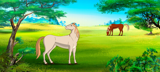 White horse grazes in the field © multipedia