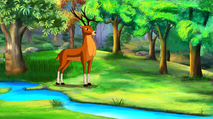 Deer near a forest stream illustration
