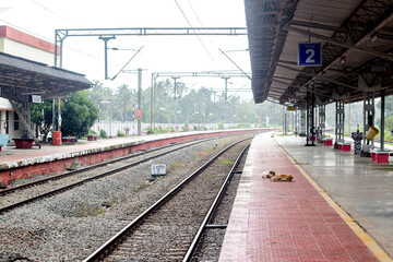 Naklejka premium Indian Railway straight platform with stray dog