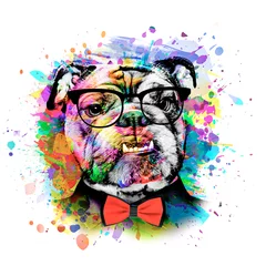 Tuinposter abstract colored dog muzzle isolated with glasses on colorful background © reznik_val