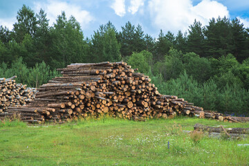 Firewood for heating the room. A lot of sawn logs.