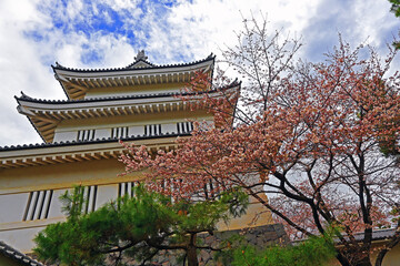 桜と松の忍城