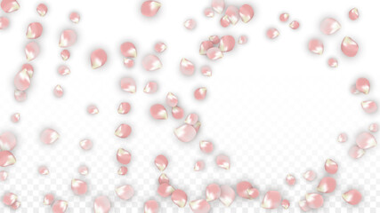 Pink Vector Realistic Petals Falling on Transparent Background.  Spring Romantic Flowers Illustration. Flying Petals. Sakura Spa Design. Blossom Confetti. Design Elements for Wedding Decoration.
