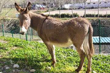 Beautiful Spanish impressions from Andalusia