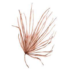 Obraz premium Tropical boho dried palm leaves floral set