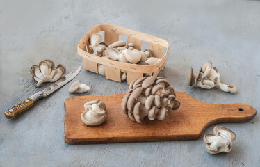 Oyster mushrooms while cooking on a gray table