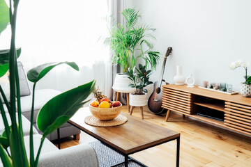Stylish and modern scandinavian interior of open space living room with bamboo bowl with fruits on the coffee table, gray couch sofa, and many green plants. Biophilia. Open space home interior design
