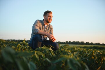 Naklejka na ściany i meble Young farmer in soybean fields