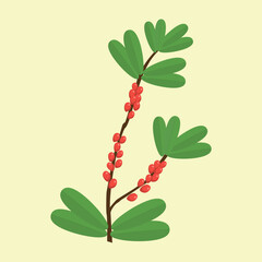 branch of wolfberries on a yellow background