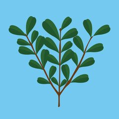 branch with leaves on a blue background