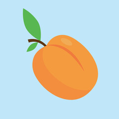 Apricot with leaf, illustration, vector