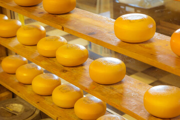 Holland cheese rounds at traditional market