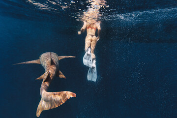 Woman by nurse shark swimming in sea