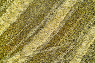 straw rolls after harvesting wheat top view background backdrop