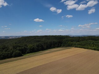 Fototapeta na wymiar Aerial view of a forest and mowed and plowed agricultural fields on a sunny day in summer 