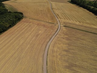 Obraz premium View from above of a pathway between mowed grain fields and wheatfields in summer 