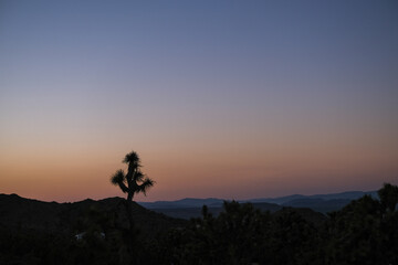 Coucher de soleil dans le parc de Joshua Tree 