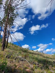 Obraz premium Scenic view of mountains, forests and valleys from mountain peak