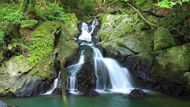 夏の五塔の滝　タイムラプス　福岡県篠栗町　Goto Falls in summer.  time lapse. Fukuoka-ken Sasaguri town.