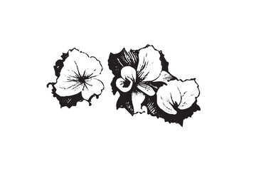 Floral Illustration Black and White
