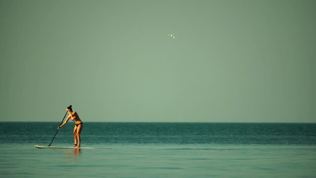 Sea woman sup. Silhouette of happy middle aged woman in rainbow bikini, surfing on SUP board, confident paddling through water surface. Idyllic sunset. Active lifestyle at sea or river. Slow motion