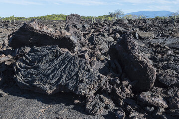 Lava flow, Punta Morena, Isabela Island, Galapagos, Ecuador
