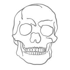 Skull bone scare Halloween day , illustration vector hand drawing.
