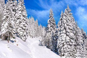 Panorama of ski resort Kopaonik, Serbia