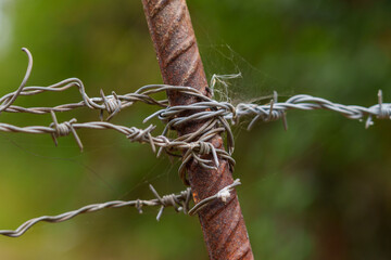 Barbed wire fence with steel sharp barbs on a eco farm with beautiful nature