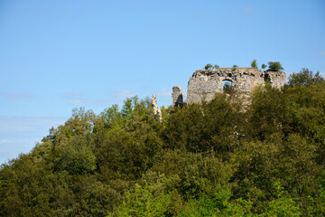 Fototapeta na wymiar Cesargrad castle
