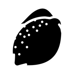 lemon fruit glyph icon vector. lemon fruit sign. isolated symbol illustration