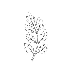 Branch with leaves. Coloring book page. Decorative design element. Hand drawn. Vector illustration.