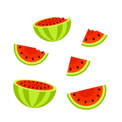 Flat icon watermelon on green background. Vector food  element for your design.