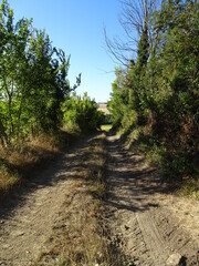 chemin de campagne